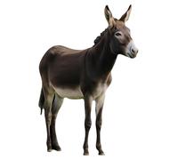 ARQRHTLY Nativity Donkey Cardboard Cutout, Christmas Life Size Stand Ups, Large Donkey Photo Prop, Christmas Nativity Scene Decorations for Xmas Holy Family Christian Vbs Party Supply 23.6 x 31.5 Inch