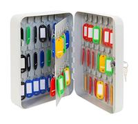 ARREGUI PLL60 Key Cabinet | Key Box | Key Box Made of Painted Steel, Lockable with 60 Hooks and Key Lock, Includes 60 Writeable Key Fobs, 25 x 18 x 8 cm, Light Grey