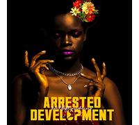 Arrested Development - Don't Fight Your Demons [VINYL]