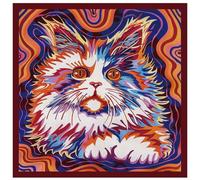 arricraft 1 Pc Large Cotton Bandana Headband, 22"x22" Colorful Kaleidoscope Cat Pattern Printed Square Hairband Multi-Purpose Bandana for Men Women Outdoor Workout Running Headwear
