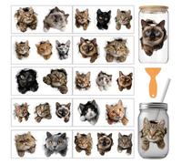 arricraft 10 Sheets Ripped Cat Theme UV DTF Cup Wrap for 16OZ Glass, Fun Cats Cute Kittens Rub on Decals PVC Transfer Stickers for DIY Cups Wood Funiture 24x11cm/9.4x4.3inch
