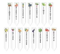 arricraft 15 Pcs Acrylic Plant Label Signs, Tomato Potato Lemon Grape Fruit Vegetable Garden Marker with Name and Pattern Clear Plant Tags for Seed Potted Garden Farm Supplies 10.2x2cm