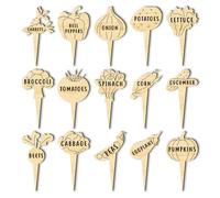 arricraft 15 Pcs Wood Plant Labels, 15 Styles Vegetables Shape Theme Garden Labels Vegetable Name Tags Wooden Markers for Indoor and Outdoor Plants Vegetables Seed Potting