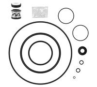 ArrogantF O-Ring Rebuild Repair Kit for Jandy Zodiac VS FloPro and FloPro FHPF and FHPM Series Pool Pumps, PS-3890 Shaft Seal / Lid O-Ring /Diffuser/Impeller/Backplate O-Ring&More,for Jandy Pool Pump