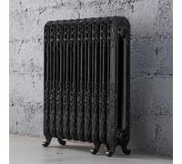Arroll Daisy Cast Iron Black 10 Column Radiator, (W)684mm X (H)794mm