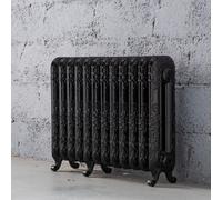 Arroll Daisy Cast Iron Black 12 Column Radiator, (W)814mm X (H)549mm