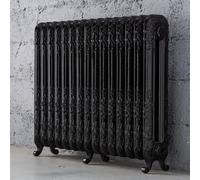 Arroll Daisy Cast Iron Black 15 Column Radiator, (W)1009mm X (H)794mm