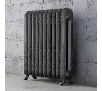 Arroll Daisy Cast Iron Grey 10 Column Radiator, (W)684mm X (H)794mm