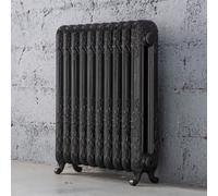 Arroll Daisy Cast Iron Pewter 10 Column Radiator, (W)684mm X (H)794mm