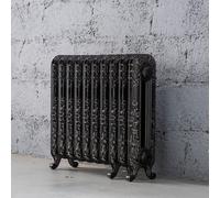 Arroll Daisy Cast Iron Silver 10 Column Radiator, (W)684mm X (H)597mm