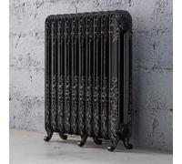 Arroll Daisy Cast Iron Silver 10 Column Radiator, (W)684mm X (H)794mm