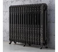 Arroll Daisy Cast Iron Silver 15 Column Radiator, (W)1009mm X (H)794mm