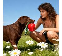 Arrovarp Squeaky Dog Toys - Chewing Squeaky Trainer Fruit | Interactive Dog Chewing Toy for Home Training Teething Chasing Boredom Relief Outdoor Beach Pool Indoor