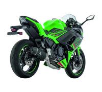 Arrow Exhaust system with EG-BE TITAN, CARBON, ALUMINIUM
