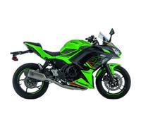 Arrow Exhaust system with EG-BE TITAN, CARBON, ALUMINIUM