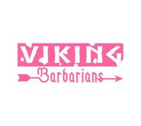 Arrow Typography Viking Emblem Viking Logo Lettering Decals 42x112cm Do not Damage The Wall Surface Pink