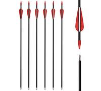 Arrows Fiberglass 28 30 32 Inch Archery Recurve Bow Target Arrows Practice for Beginners Outdoor 6/12pcs