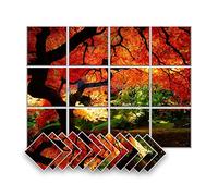 Arrowzoom 12 Felt Wall Art Acoustic Panel Display Stylish Decorative Acoustical Tiles Noise Reduction Recording Studio Room Home Treatment Strong Adhesive DIY Nature Design C 35.4x47.2 in AZ1228