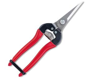 ARS 300L-DX Stainless Steel Pointed Fruit Pruner