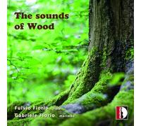 Ars Ludi; Alessio Cavaliere; Rosario Ceraudo; Zidan Cintoni; Giulio Jamil - The sounds of Wood