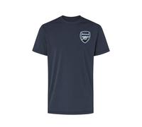 Arsenal F.C. Men's Grey T-Shirt - Official Arsenal Crest Football Poly Top (UK, Alpha, S, Regular, Regular)