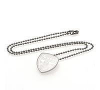 Arsenal Stainless Steel Crest Pendant & Chain