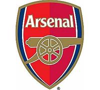 ARSENAL: THE GOAL THAT CHANGED EVERYTHING [EDIZIONE: REGNO UNITO] NEW DVD