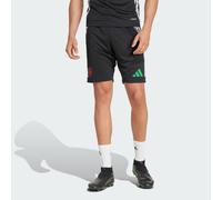 Arsenal Tiro 24 Training Shorts