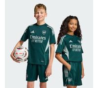Adidas Arsenal Competition Training Short Sleeve Junior Jersey 2025/2026 Size: 11-12 years, Colour: Charcoal