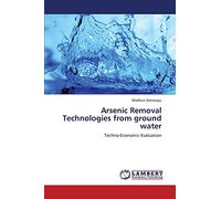 Arsenic Removal Technologies from ground water: Techno-Economic Evaluation