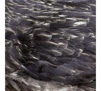 Arstidir - Something Wicked Marches In (Reissue) (Orange/Gold Vinyl) [VINYL]