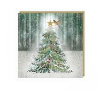 Art Beat Pack of 6 Artistic Charity Christmas Cards - Evening Shimmer - Lovely Illustration of a Christmas Tree & Robin Winter Scene - 6 Cards of 1 Design