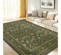 Art Deco Nature Living Room Rug 60 x 90 cm Flowers Foliage Rectangular Frames Washable Carpet | Traditional Area Rug, Non Slip, Soft | for Bedroom, Dining Room, Office, Low Pile Carpet