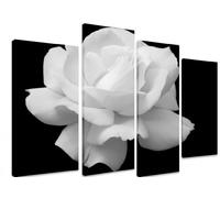 Art_Depot_Outlet PICTURE - Multi Split Panel Canvas Artwork Art - White Rose Flower Black Background 4 Panel - 101cm x 71cm (40"x28")