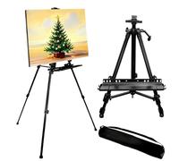 Art Easel Stand for Painting, Artist Easel with 4 Clips and Carry Bag, 52-160cm Adjustable Floor & Tabletop Painting Display Easel, Folding Tripod Display Stands for Drawing Art Sketch