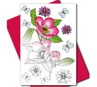 Art Eclect Adult Flower Cards to Colour in for Birthdays, Anniversary, Thank You and Sympathy Notes, 10 Cards and 10 Envelopes (Set Flowers B/Pink)