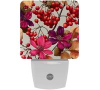 Art Flowers Berries on a Light Background LED Night Lights Dusk to Dawn Sensor, 0.5W Plug-in Night Lights Lamp for Hallway Stairway Kids Room Bedroom, 2 Pack