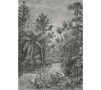 Art for the home Mural Archive Jungle Mural 125567FXST