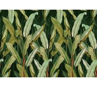 Art for the home Mural Banana Leaf Mural 125648FXST