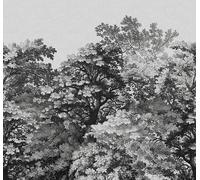 Art for the home Mural Forest Canopy Mural 125945FXST