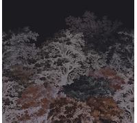 Art for the home Mural Forest Canopy Mural 125981FXST