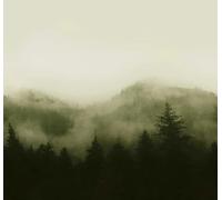 Art for the home Mural Misty Landscape Mural 125702FXST