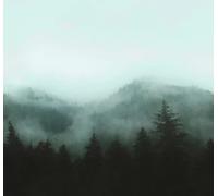 Art for the home Mural Misty Landscape Mural 125711FXST