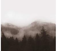 Art for the home Mural Misty Landscape Mural 125720FXST