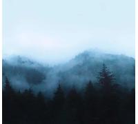 Art for the home Mural Misty Landscape Mural 125729FXST