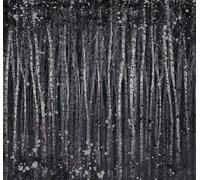 Superfresco Easy Painterly Woods Navy Print To Order 3m x 2.8m Mural | Wallpaper Roll