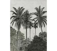 Art for the home Mural Palma Mural 125576FXST