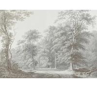 Superfresco Easy Stately Woodland Neutral Print To Order 3m x 2.8m Mural | Wallpaper Roll