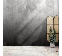 Superfresco Easy Ombre Mono Print To Order Fixed Size Mural | Wallpaper Roll