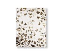 Art For The Home Sepia Nature Trail Printed Canvas - Natural/Beige Wall Art - Flora/Nature & leaf Design - Cover for small cracks and imperfections - Printed Canvas